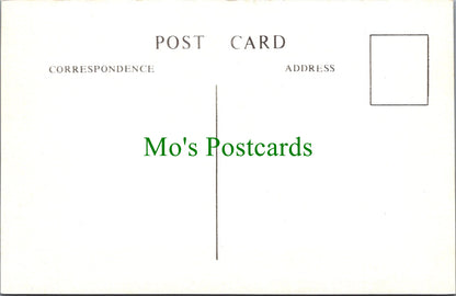Sport Postcard - Cricket, Kent v Essex, Record Score For Kent SW11701