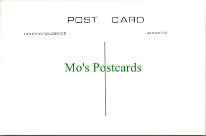 Kent Postcard - Old Petham, The Stores   SW11716
