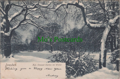 Germany Postcard - Dresden, Kgl Grosser Garten im Winter  SW11650