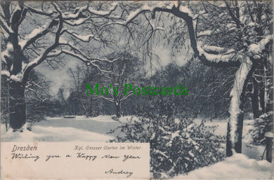 Germany Postcard - Dresden, Kgl Grosser Garten im Winter  SW11650