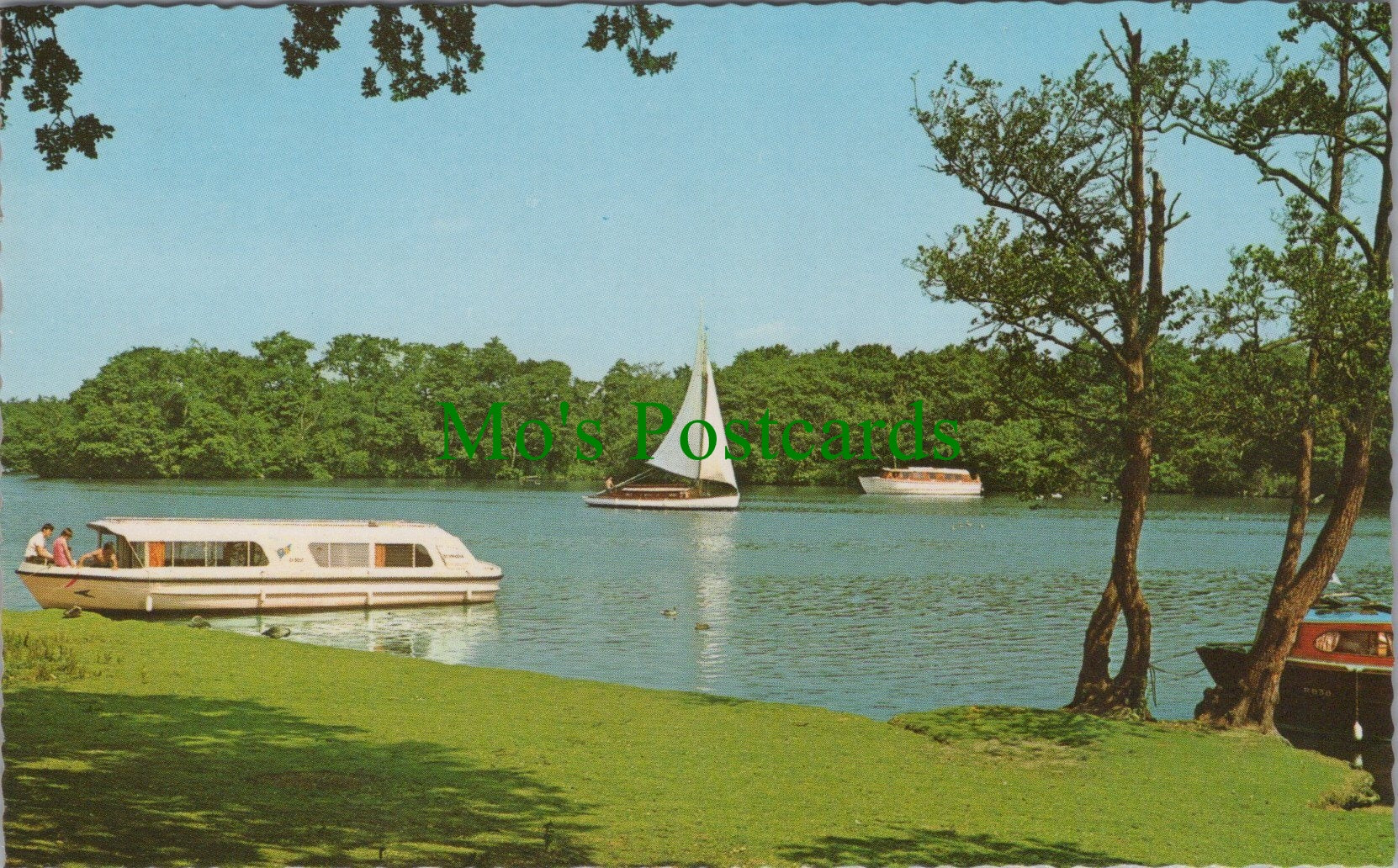 Norfolk Postcard - Salhouse Broad  SW11618