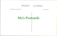 Load image into Gallery viewer, Isle of Wight Postcard - Old Newport, Hunny Hill and Bridge c1875 - SW11628
