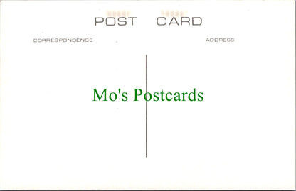 London Postcard - Old Highgate, Gate House Inn, Swearing on The Horns  SW11633