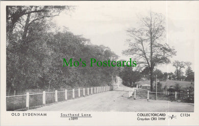 London Postcard - Old Sydenham, Southend Lane c1899 - SW11742