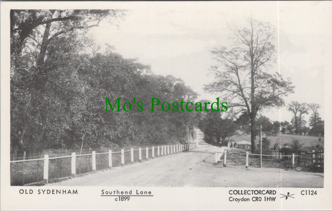 London Postcard - Old Sydenham, Southend Lane c1899 - SW11742