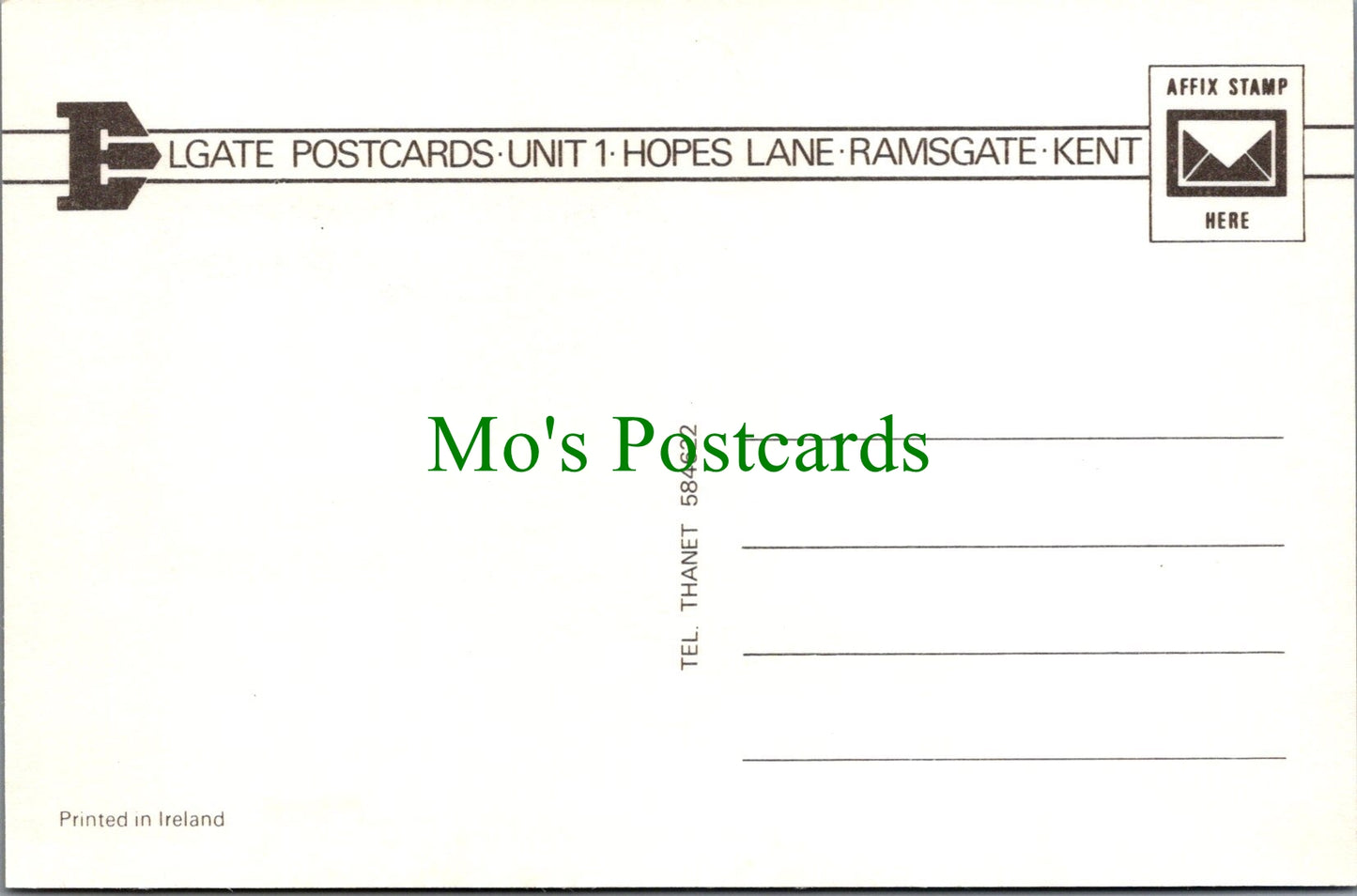 Animals Postcard - A Beautiful Horse    SW11748