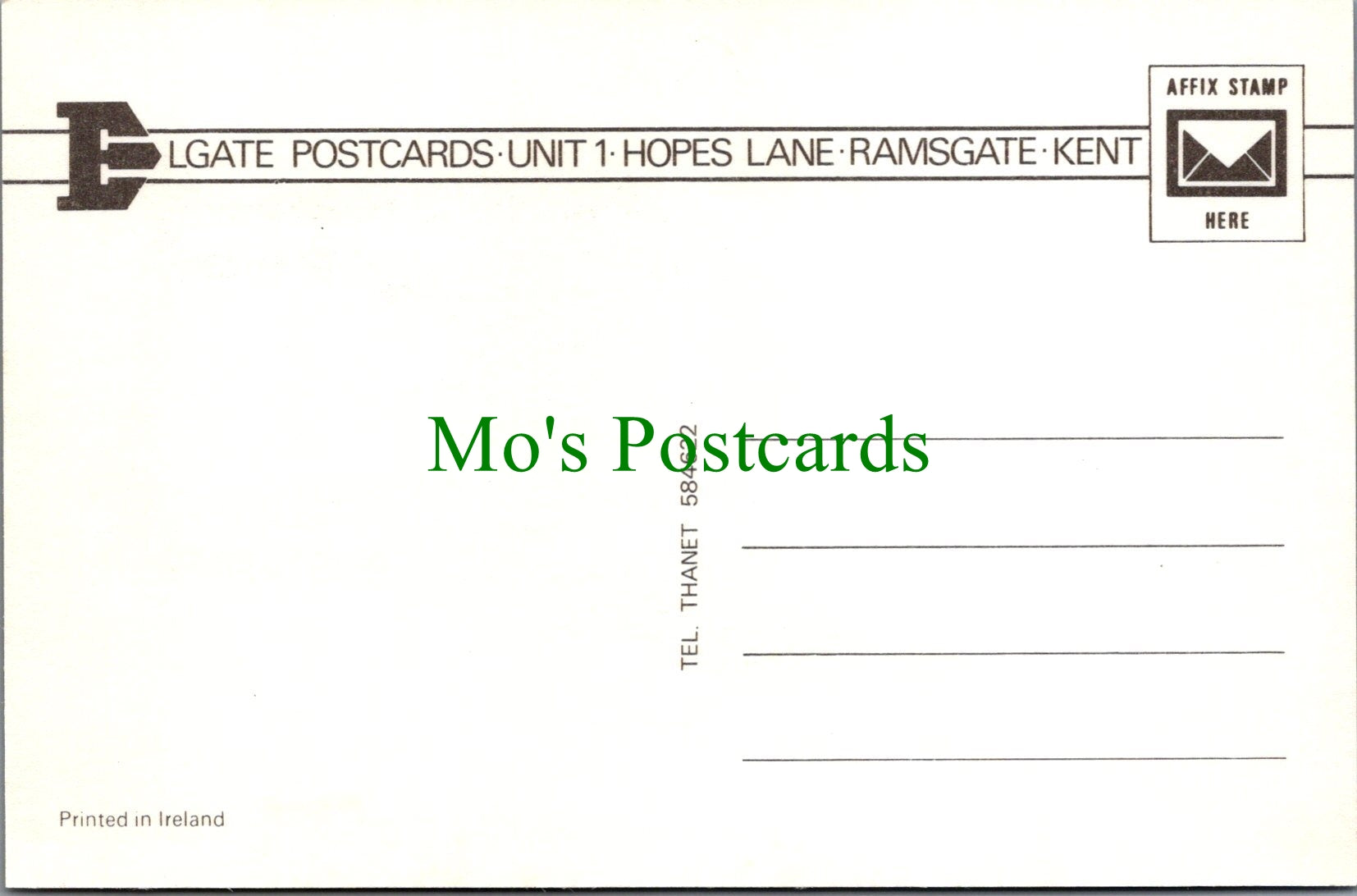 Animals Postcard - A Beautiful Horse    SW11748