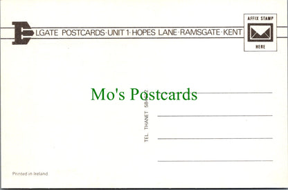 Animals Postcard - A Beautiful Horse    SW11748