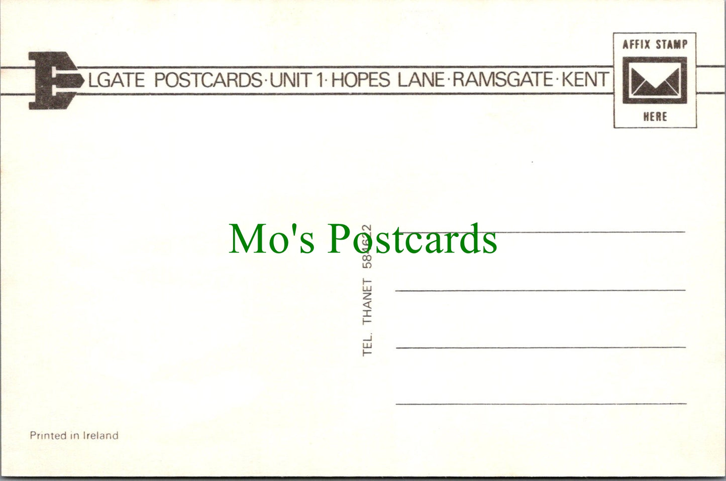 Animals Postcard - A Beautiful Horse    SW11749