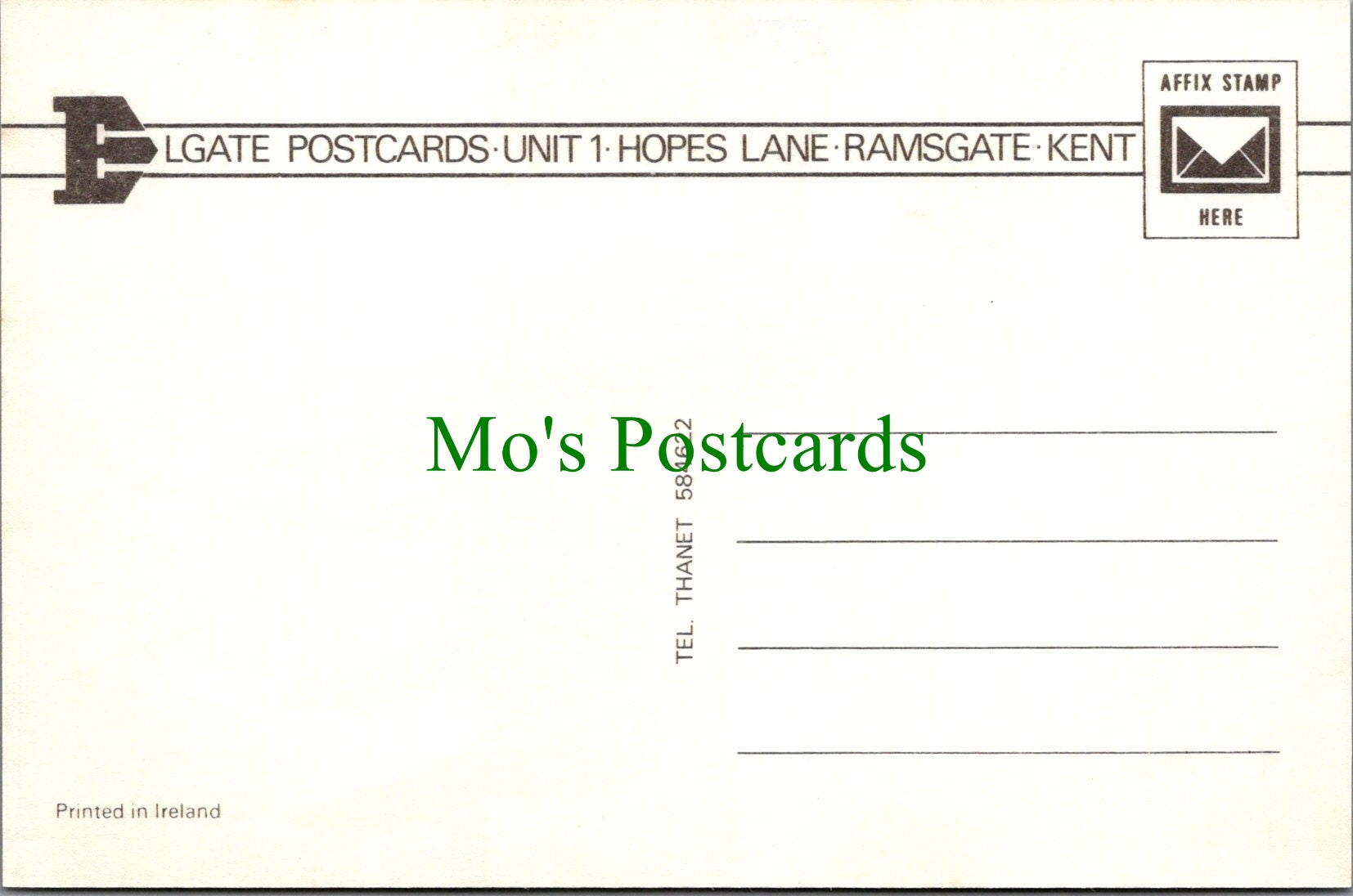 Animals Postcard - A Beautiful Horse    SW11749