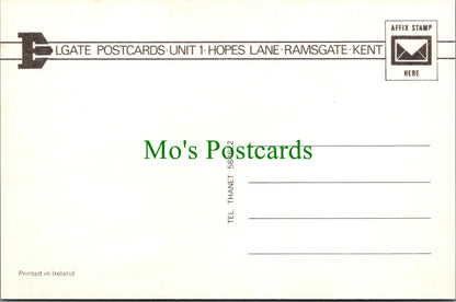 Animals Postcard - A Beautiful Horse    SW11749