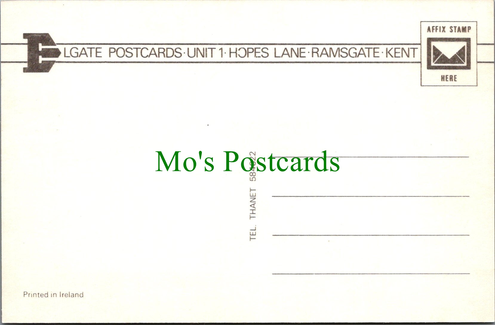 Animals Postcard - Horse and Foal Grazing    SW11753