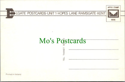 Animals Postcard - Horse and Foal Grazing    SW11753