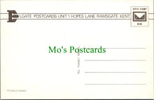 Load image into Gallery viewer, Animals Postcard - Horse and Foal Grazing    SW11753
