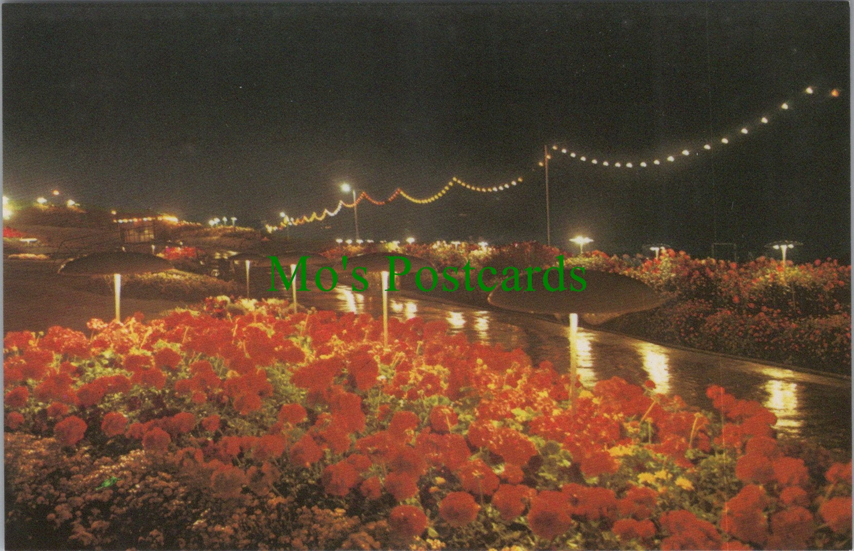 Dorset Postcard - The Illuminations, Greenhill Gardens, Weymouth  SW14557