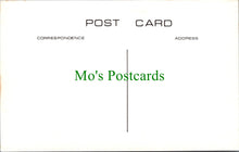 Load image into Gallery viewer, Isle of Wight Postcard - Brading Bull Ring and Town Hall c1900 - SW14839
