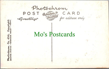 Royalty Postcard - The Coronation Coach   SW13561