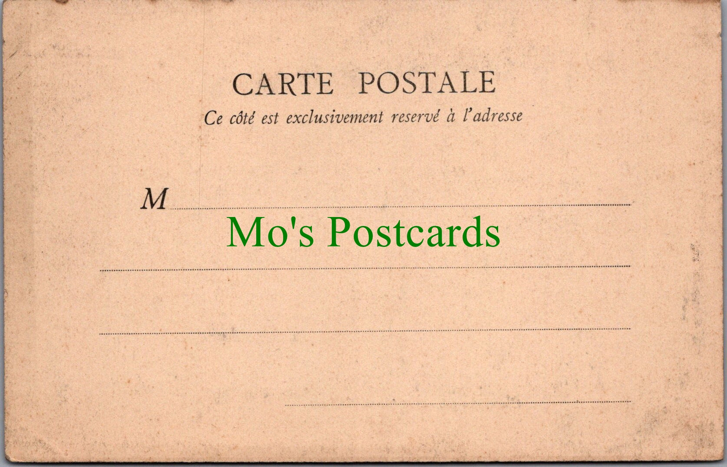 France Postcard - Fontainebleau, Etang Des Carpes Et Musee Chinois SW11760