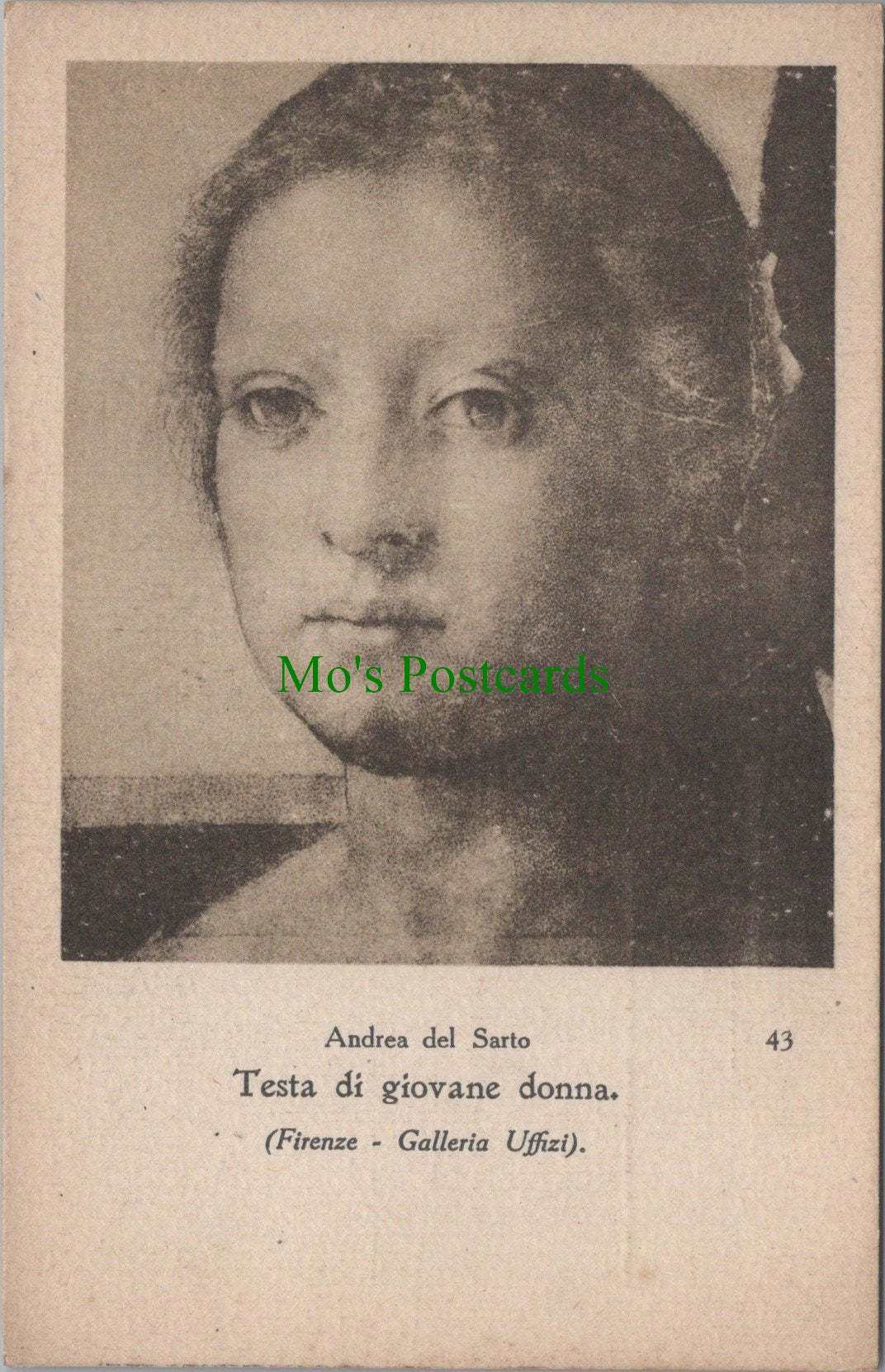 Art Postcard - Andrea Del Sarto, Testa Di Giovane Donna SW11771