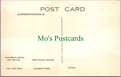 Kent Postcard - Views of Tunbridge Wells  SW11781