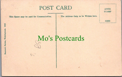 Norfolk Postcard - Walsingham Town Pump  SW11790