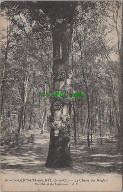 France Postcard - St Germain-En-Laye, Le Chene Des Anglais  SW11808
