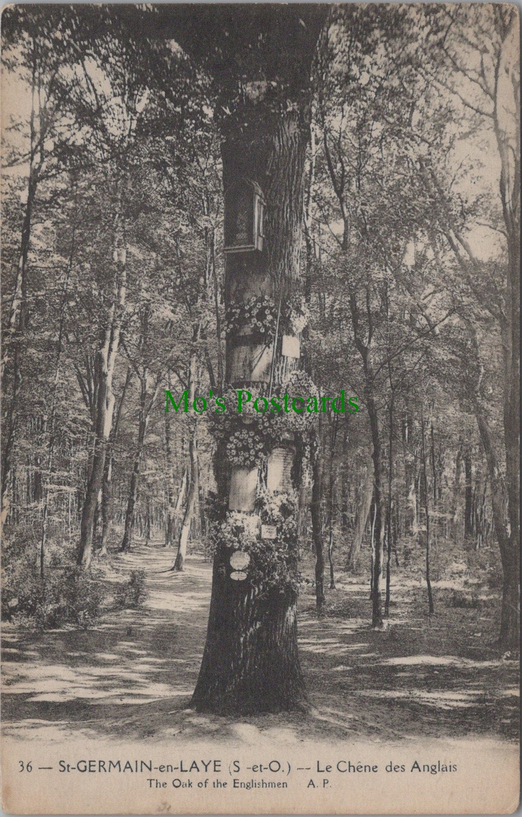 France Postcard - St Germain-En-Laye, Le Chene Des Anglais  SW11808
