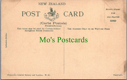 New Zealand Postcard - Waterworks Reserve, Wainui-O-Mata, Wellington  SW11813
