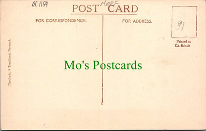 Norfolk Postcard - Norwich Cathedral, The Cloisters  DC1159