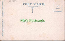 Load image into Gallery viewer, Warwickshire Postcard - Guy&#39;s Cliffe Avenue, Near Warwick  DC1105
