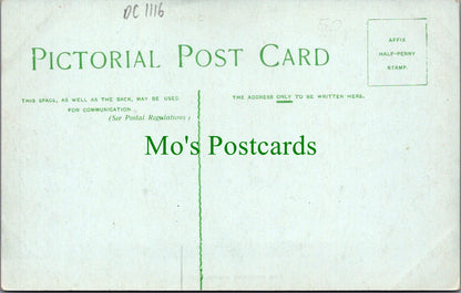 Sussex Postcard - New Shoreham Church   DC1116
