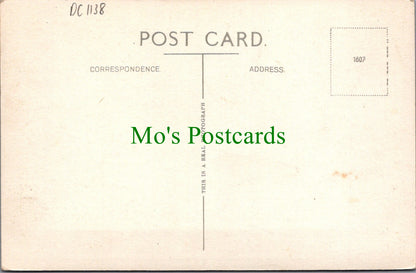 Staffordshire Postcard - Trentham Hall   DC1138
