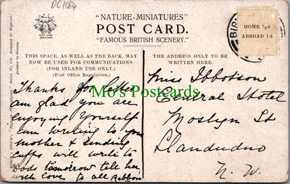 London Postcard - Bushey Park / Bushy Park DC1084