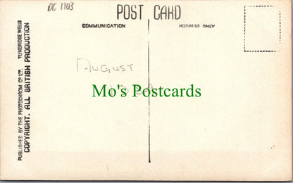 Wales Postcard - Beddgelert and Snowdon   DC1103