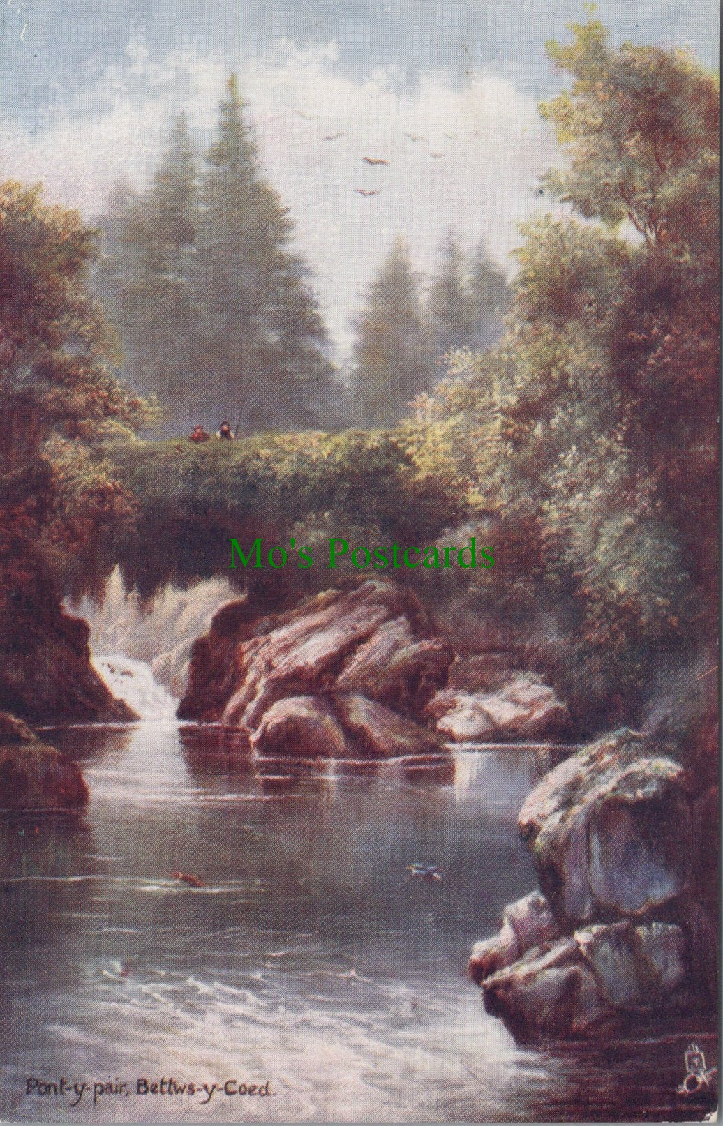 Wales Postcard - Artist View of Pont-Y-Pair, Betws-Y-Coed DC991