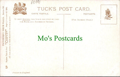 Wales Postcard - Artist View of Pont-Y-Pair, Betws-Y-Coed DC991