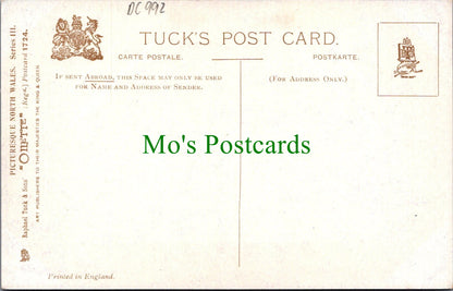 Wales Postcard - Artist View of Fairy Glen, Betws-Y-Coed DC992