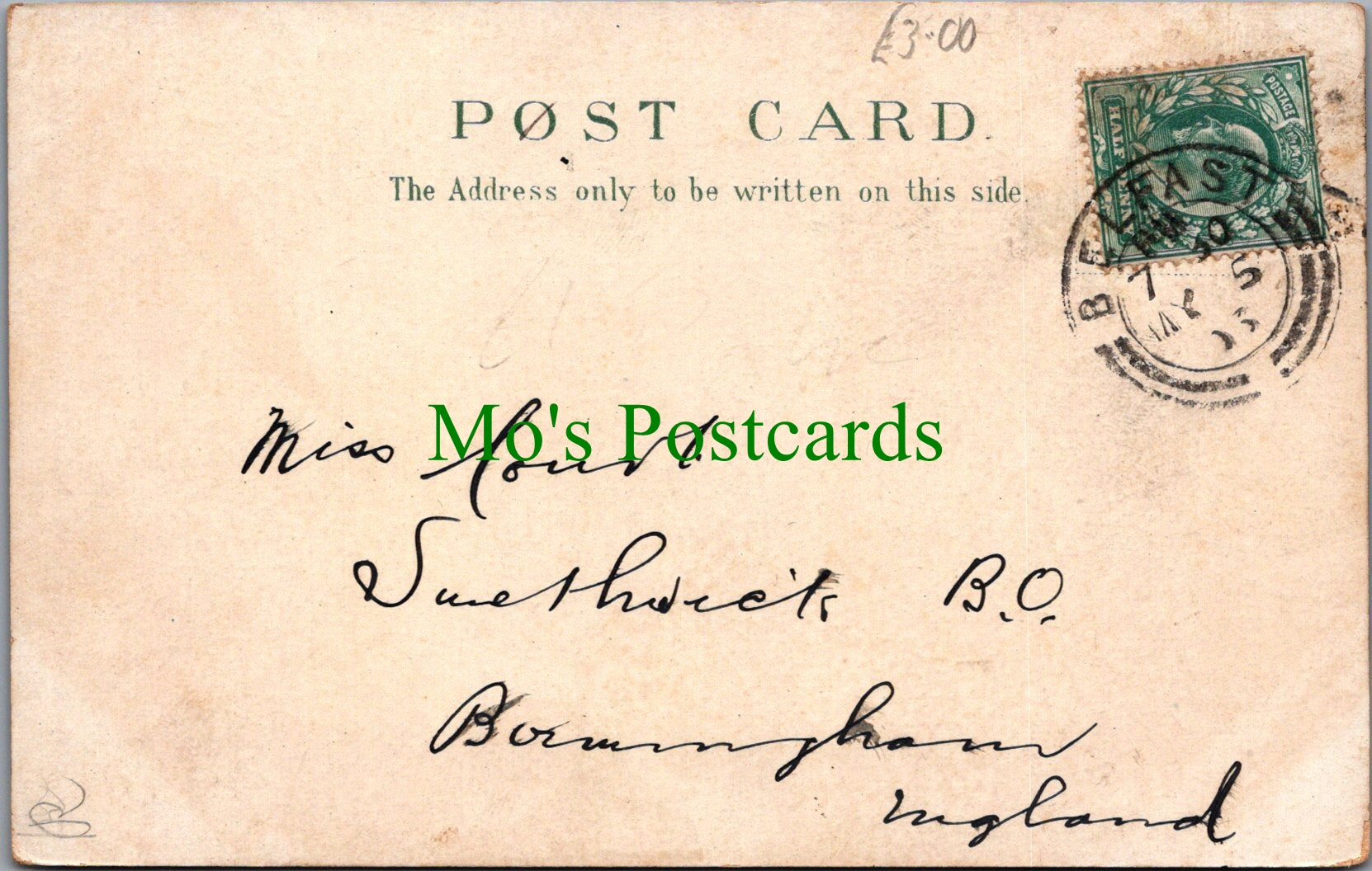 Ireland Postcard - Irish Jaunting Car and Cottage  SW13140