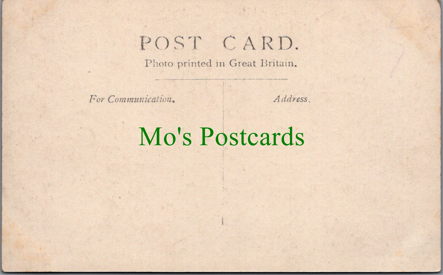 Animals Postcard - Five Cute Dogs on a Wall  SW13061