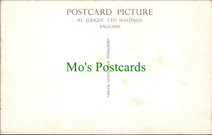 Dorset Postcard - Sherborne School  SW13068