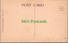 Load image into Gallery viewer, Sussex Postcard - The Barbican, Lewes Castle 14th Century  SW13094
