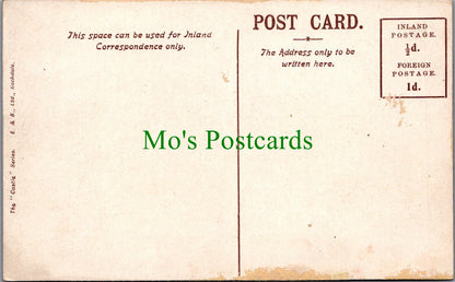 Lancashire Postcard -  The Park, Littleborough   SW13109