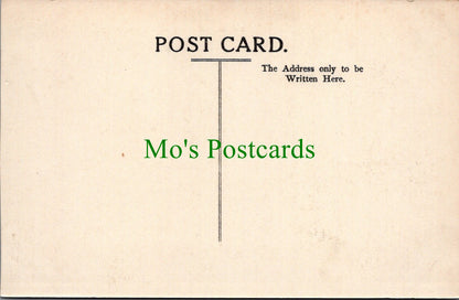Yorkshire Postcard - Helmsley, The Castle Ruins  SW13115
