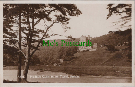 Scotland Postcard - Neidpath Castle on The Tweed, Peebles  SW13116