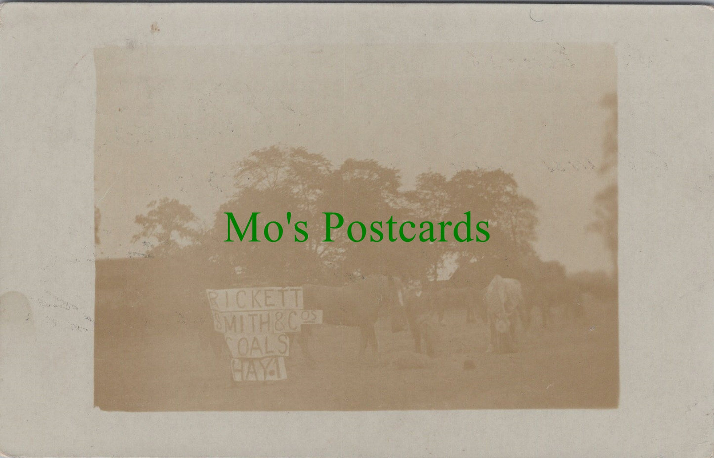 Sussex Postcard? - Eastbourne Area?, Rickett Smith & Co's ?oals, Hay SW13131