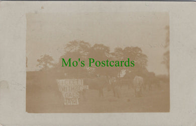 Sussex Postcard? - Eastbourne Area?, Rickett Smith & Co's ?oals, Hay SW13131