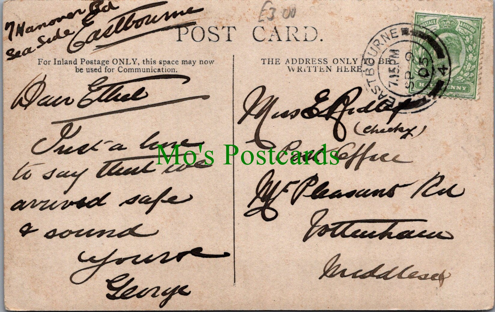 Sussex Postcard? - Eastbourne Area?, Rickett Smith & Co's ?oals, Hay SW13131
