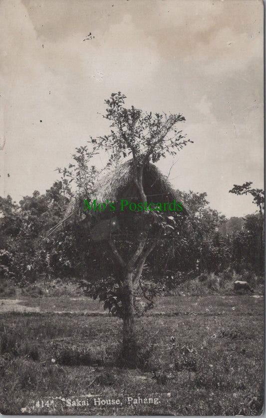 Malaysia Postcard - Sakai House, Pahang   SW13008
