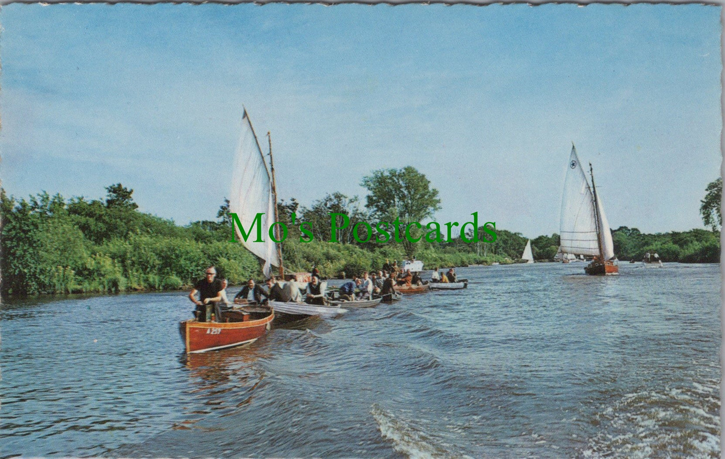 Norfolk Postcard - Norfolk Broads, Anglers on The River Bure SW11522