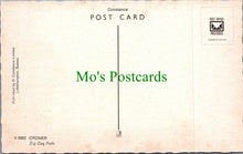 Load image into Gallery viewer, Norfolk Postcard - Cromer Zig Zag Path  SW11520
